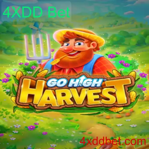 Explorando o Mundo de GoHighHarvest e 4XDD Bet