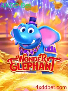 Explorando WonderElephant: Um Novo Jogo Atraente com 4XDD Bet
